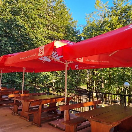 Great Mountain B&B Platak المظهر الخارجي الصورة