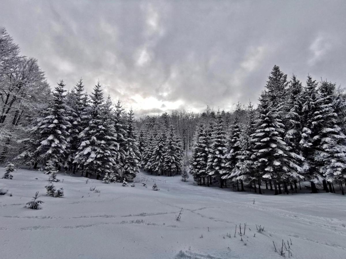 Great Mountain B&B Platak المظهر الخارجي الصورة