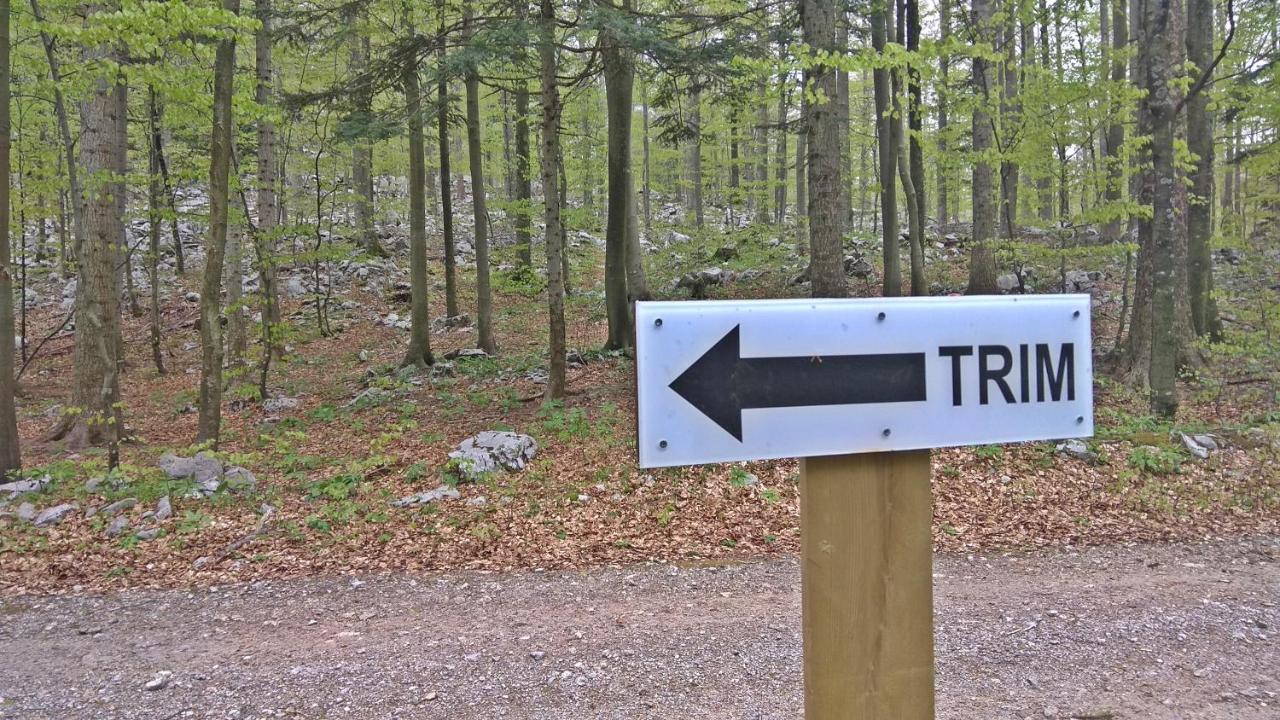 Great Mountain B&B Platak المظهر الخارجي الصورة