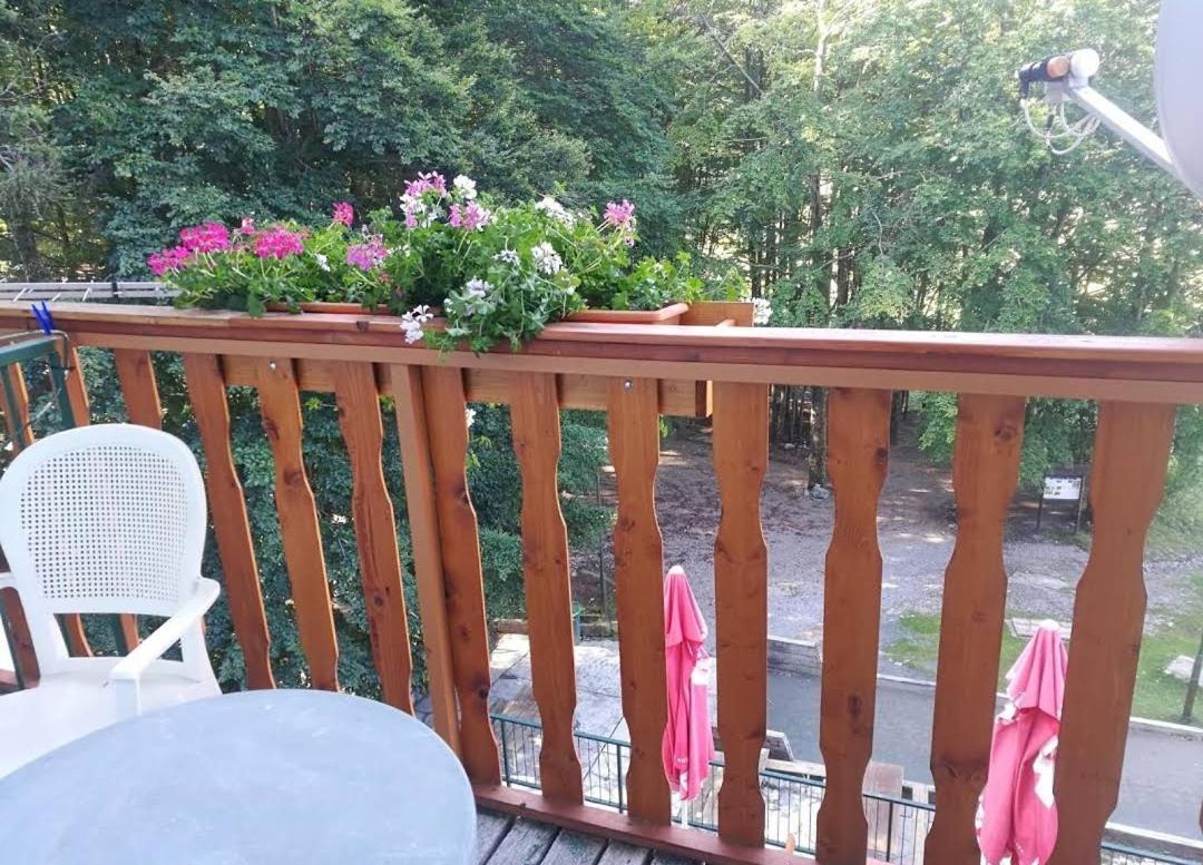 Great Mountain B&B Platak المظهر الخارجي الصورة