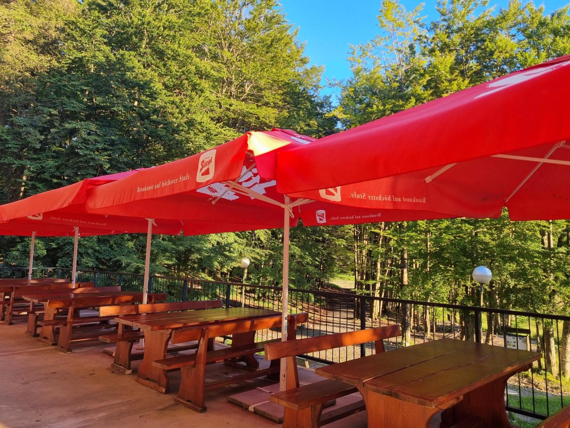 Great Mountain B&B Platak المظهر الخارجي الصورة