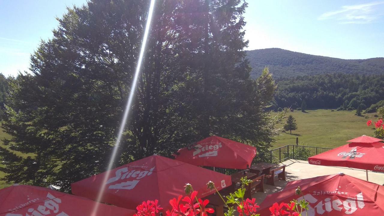 Great Mountain B&B Platak المظهر الخارجي الصورة
