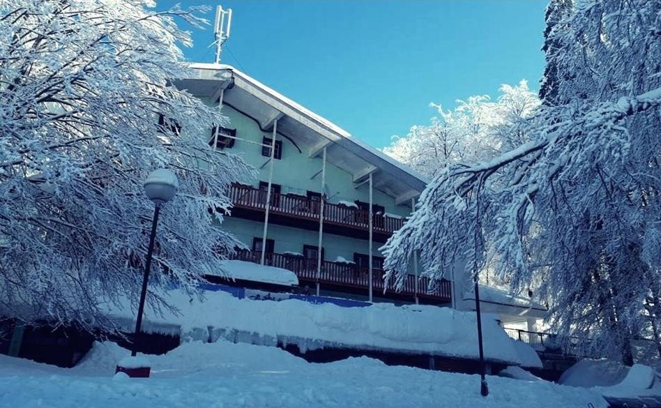 Great Mountain B&B Platak المظهر الخارجي الصورة