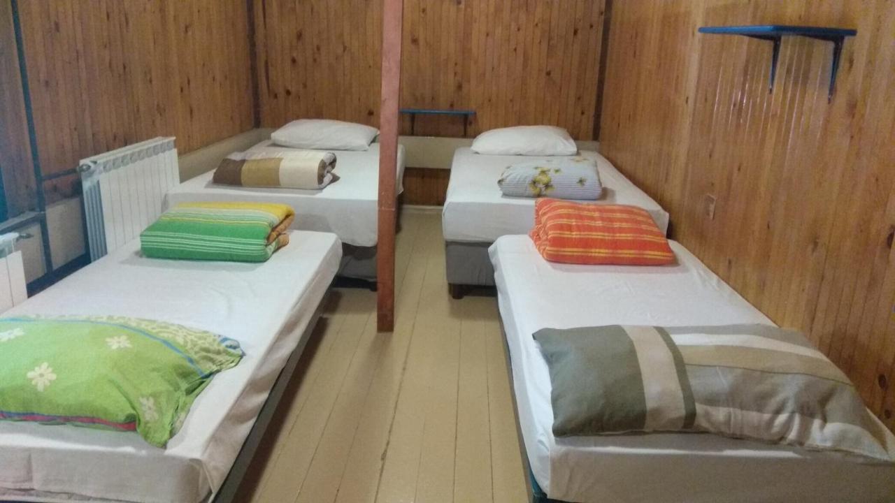 Great Mountain B&B Platak المظهر الخارجي الصورة
